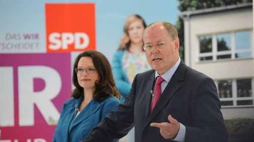 steinbrueck nahles eh aaneu