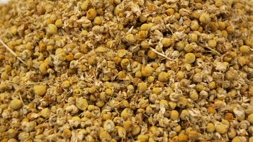 Hodberdda jinsiy aloqa korish porno kanali