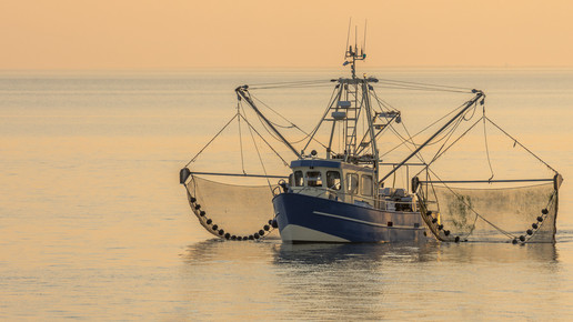 Schiffsapotheke: Deutsch oder gleichwertig