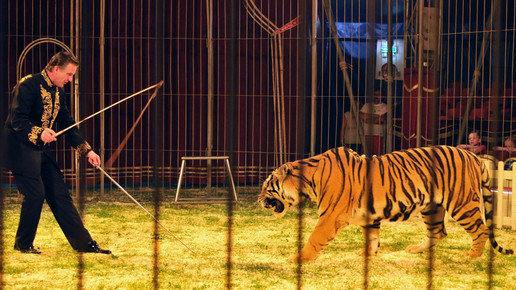 Apotheker leben sicher