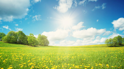 Wettereinfluss: Studienergebnisse widersprüchlich