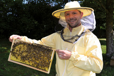 Hevert Imker Sv H2 20160607 pr pic web