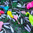 Foto: Luftballons und Lachgas-Kartuschen auf einer Wiese
