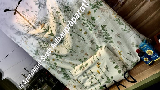 bellevue-apo fenster25 bellevue-apo