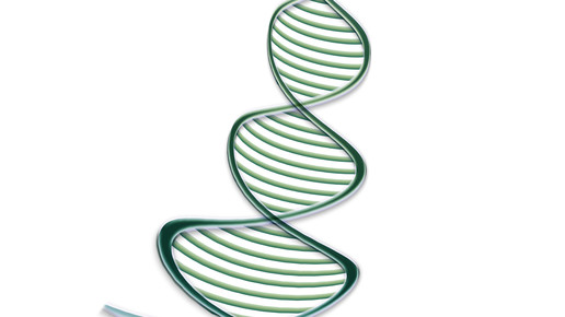 dna Gerd Altmann pixelio