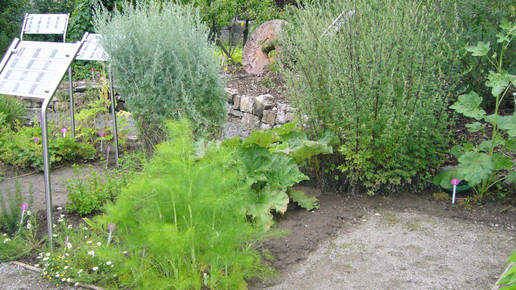 museum schonungen garten1 friedrich karl schumm