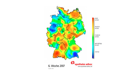 woche6 rki grippewelle 2016 17 aa