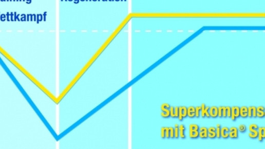 0001-Branchennews6251 8e5726