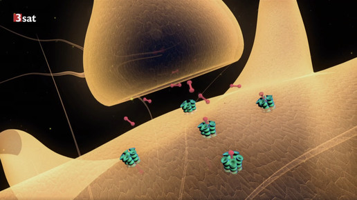 3sat antisuchtpille dopaminrezeptor scs