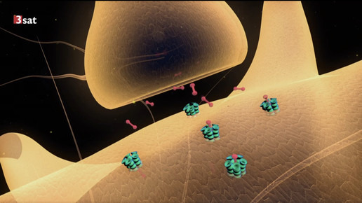 3sat antisuchtpille dopaminrezeptor scs
