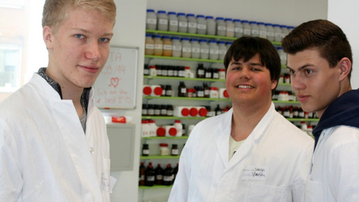 boysday9 berndblindowmannheim