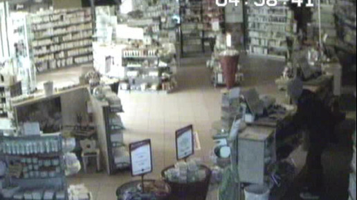 einbruch plauen screenshot