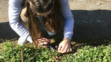 PTA-Schüler auf Blumensuche