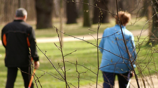 nordicwalking Thomas Kunz Sachsen  Pixelio 169