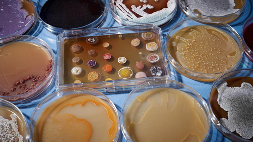 sanofi antibiotika 02 sanofi