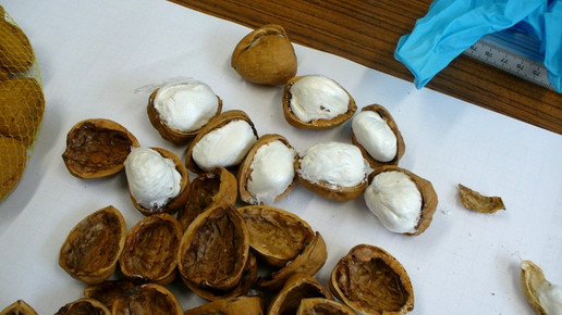 zoll kokainnuesse zoll