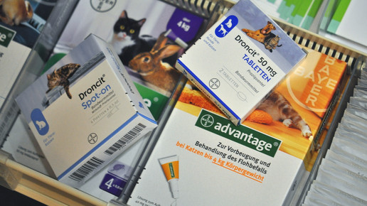 Droncit avantage bayer tiere aa