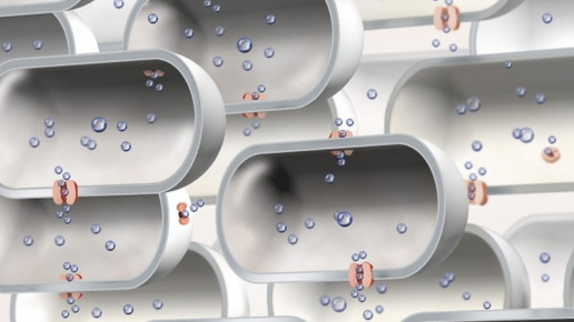 0008-1265368389 6561