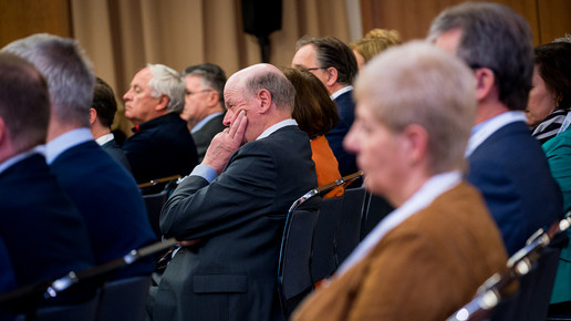 dav wifo 17 publ1 Domma