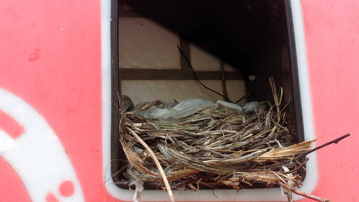 apoa amselnest 02 apoamdorfbrunnen