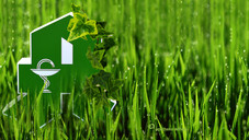 Apothekers grüne Weste