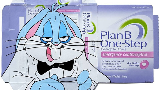 Plan B Notfallkontrazeptivum 