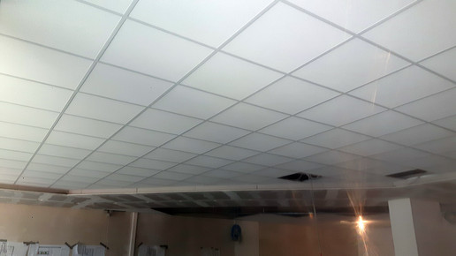 flora-apo Neuer Standort umbau2 flora-apo