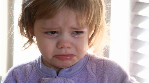 kind weinend crimfants flickr cc by sa 2 0