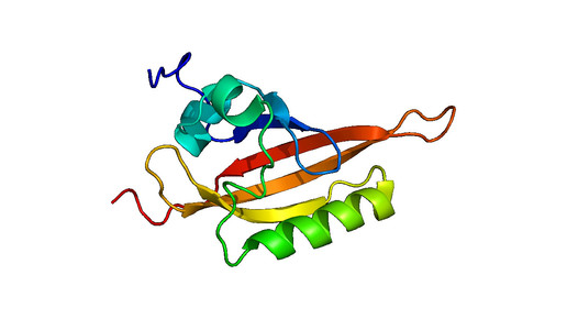 protein ah receptor wikipedia emw cc by sa 3 0