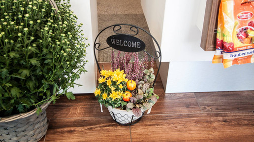 welcome apo zum nussbaum