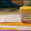 NDR-Visite: Nutzen und Risiken von Cannabis