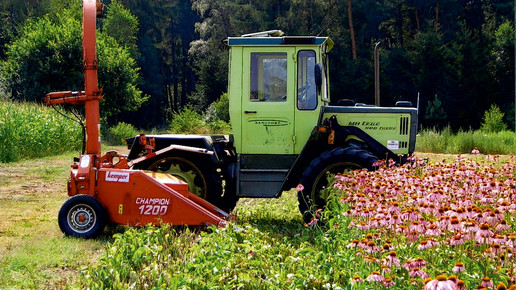 R-M-Echinacin-Anbau-1-rottapharmmadaus