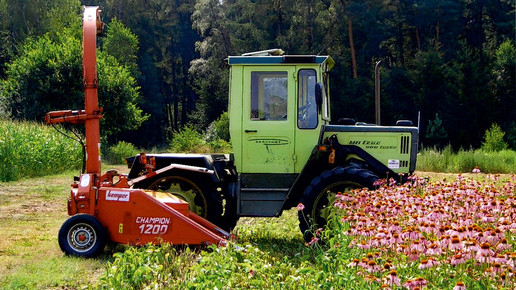 R-M-Echinacin-Anbau-1-rottapharmmadaus