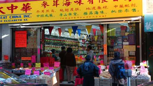chinatown1 newyork chinesische medizin apotheke tcm eh