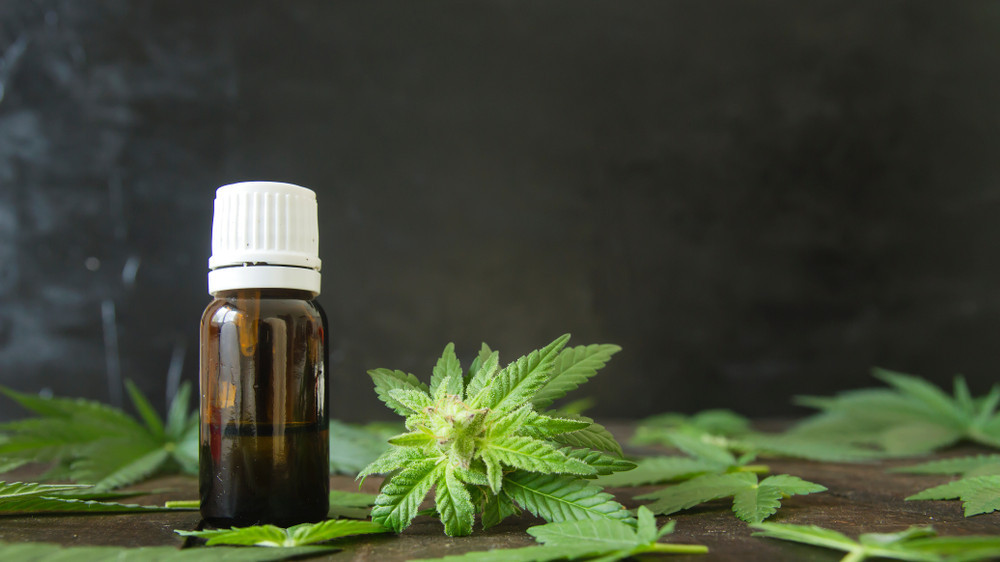 Abda-MedCanG-auf-Extrakte-ausweiten