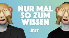 The German Affenpockenangst