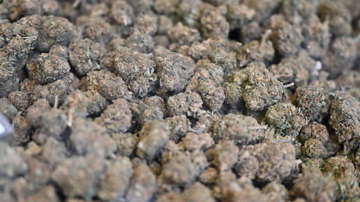 CBD-Blüten: Künftig kein Cannabis mehr?