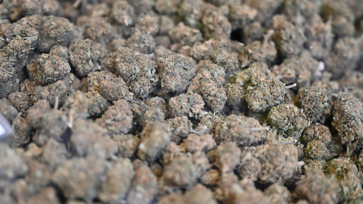 Cannabis-am-Steuer-Rezept-sch-tzt-vor-Bu-geld