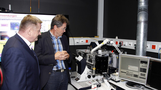 groehe embl4 bmg krampe