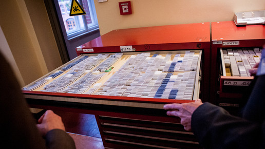 labor charite27 andreas domma