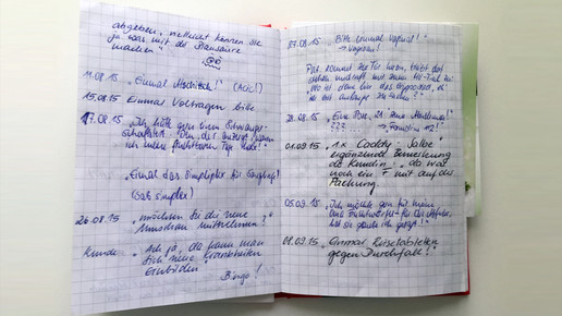 brigadebuch 16 lindaapoidnordvorstadt