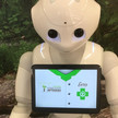 Eero, der Apotheken-Roboter