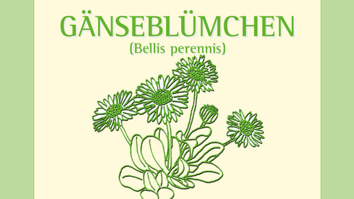 gaensebluemchen urkunde nhv theophrastus