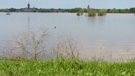 hochwasser wittenberg1 mycare