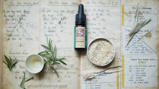 loewen-apo herpinator dietlind wolf