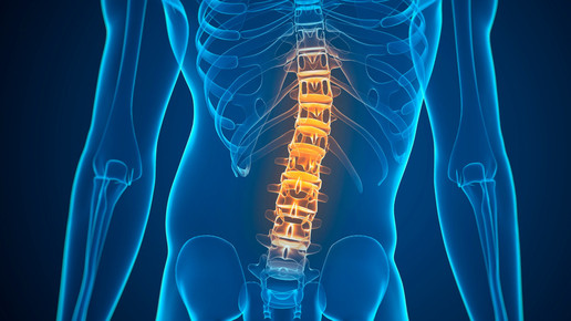 Erstes Haltesystem für Kinder zugelassen