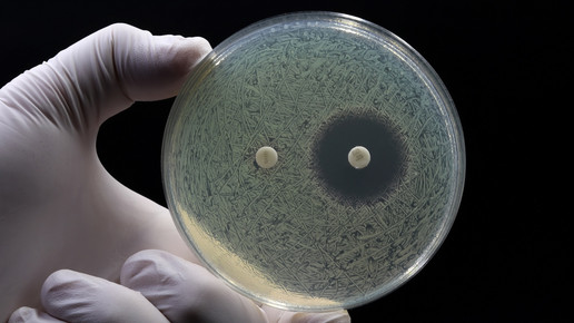 Antibiotika: Mehr Resistenzen bei geringerer Produktion