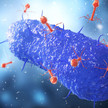Microbiology concept. Bacteriophages attack cell on a blurred background. 3d illustration