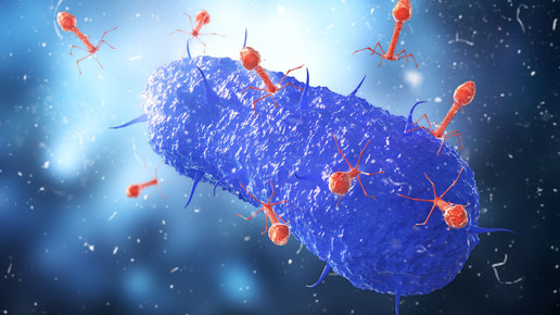 Microbiology concept. Bacteriophages attack cell on a blurred background. 3d illustration