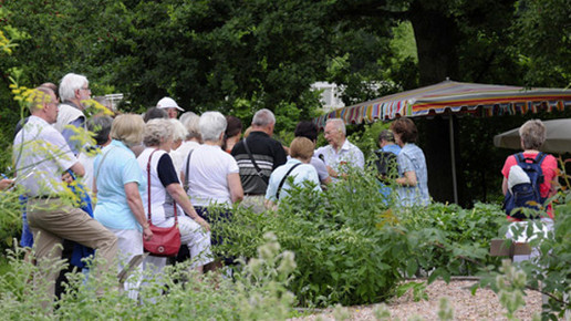 fuehrung apothekergarten binde freundeskreis apothekergarten